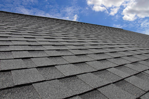 Best Roof Leak Repair  in Borden, IN